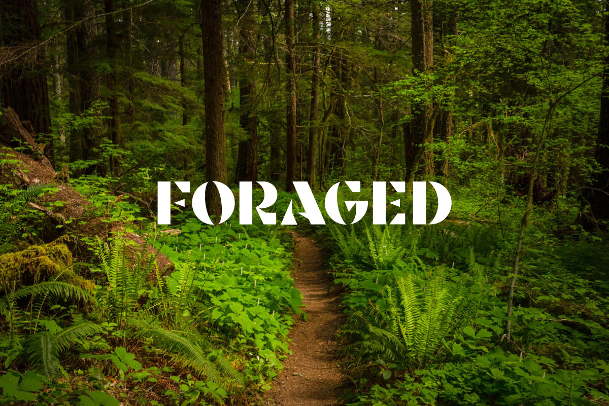 Foraged logo